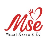 MSE Yayınları logo - Similar company to 400Grad Design Studio
