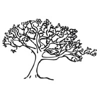 Silver Maple Construction logo - Similar company to Smp Architecture