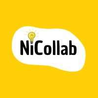 NiCollab logo - Similar company to Datacompetent