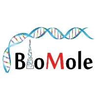 BIOMOLE SRL logo - Similar company to Novaicos Immunotherapeutics