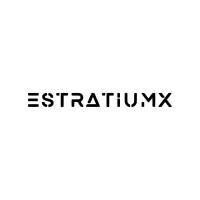 Estratiumx logo - Similar company to Grupo Linmex