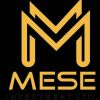 Mese Investment Limited logo - Similar company to International Investors For Mineral Development Association (Iimda) Myanmar
