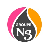 Groupe N3 logo - Similar company to Association Roulottes Et Nature