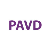 Pan Asia Venture Development Platform (PAVD) logo - Similar company to Millennia Venture Group