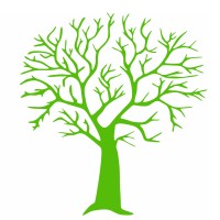 CASS - Carlos Silva logo - Similar company to Averobotics Bv