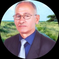 How to Make Money From Home logo - Similar company to Iwrite