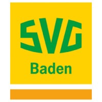 SVG Baden logo - Similar company to Svg Süd