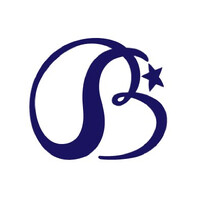 Brilliant Stars logo - Similar company to Dove Storage Llc