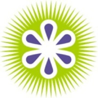Kiwi Energy logo - Similar company to Triangle Systems