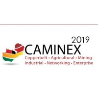 Caminex logo - Similar company to Caminex