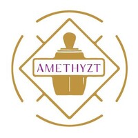 Amethyzt logo - Similar company to Yasavri Multibiz Pvt. Ltd