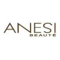 Anesi Beauté logo - Similar company to Smart Clinic Group