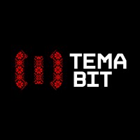 TEMABIT Software Development logo - Similar company to Intecracy Group
