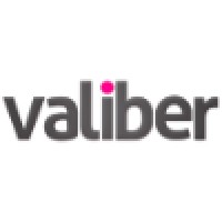 Valiber Ltd logo - Similar company to Mamaya