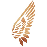 Gospel NYC logo - Similar company to Gospel For Life