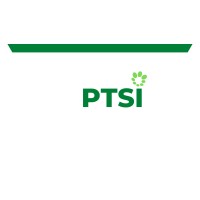 Paramind Technology Services International PTSi logo - Similar company to Paramind Consultancy Services, Inc.