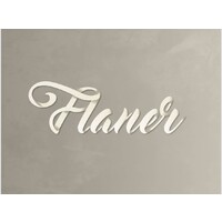 플라네 logo - Similar company to Anyone F&C