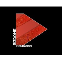 Bizdome Incubation Council logo - Similar company to Startup Never Fails : Community & Venture Builder