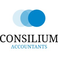 Consilium Accountants logo - Similar company to Bertinus Collectief