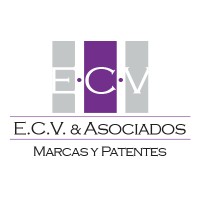 ECV Asociados logo - Similar company to Daisho Business Group