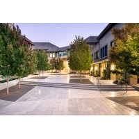 Haas Undergraduate Blog