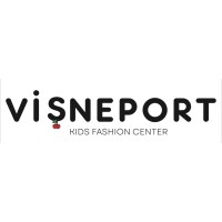 visneport logo - Similar company to Searcly