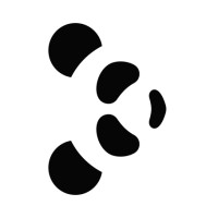 Panda Technology logo - Similar company to Systech Msp
