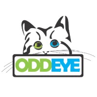 OddEye logo - Similar company to Alter