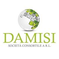 Damisi Società Consortile Arl logo - Similar company to Selfin