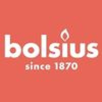 Bolsius Polska logo - Similar company to Bolsius | B Corp™