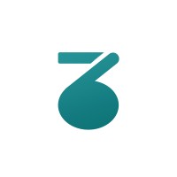 Techzora logo - Similar company to Codetimer