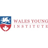 Wales Young Institute logo - Similar company to Invenio Potential
