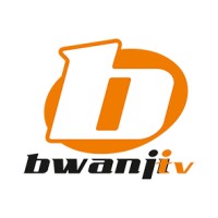 BwanjiTv logo - Similar company to Lindiwe Stacey Coaching