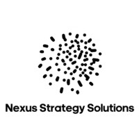 Nexus Strategy Solutions logo - Similar company to M-Factor, Inc.