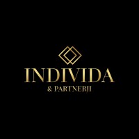 INDIVIDA & Partnerji logo - Similar company to Play Smart