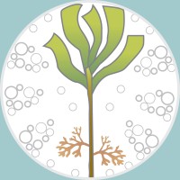 Australasian Society for Phycology and Aquatic Botany - ASPAB logo - Similar company to Greek Youth Generator