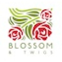 Blossom And Twigs