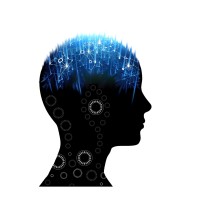 BlockWise Solutions logo - Similar company to Digital Darwin