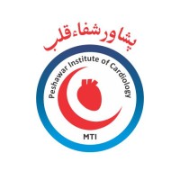 Peshawar Institute of Cardiology - MTI logo - Similar company to Union Estimating