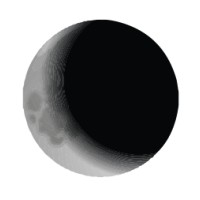 Lunar Branding®️ logo - Similar company to Packndot