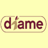 Diame logo - Similar company to Ai Fever 🤖🧠