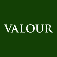 Valour Group logo - Similar company to Valour Group Of Companies
