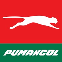 Pumangol logo - Similar company to Bfa - Banco De Fomento Angola