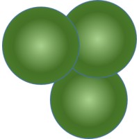 TRIFOLIUM LTD