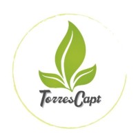 Torrescapt Gestión de Recursos Humanos e Institucionales logo - Similar company to Consultaneo