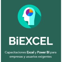 BiEXCEL - Cursos Excel & Power BI para empresas logo - Similar company to Cursos De Excel Online