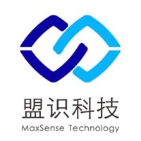 MaxSense.ai logo - Similar company to Dual-Engines Technology(Hangzhou)Co.,Ltd