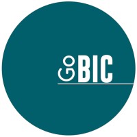GoBIC logo - Similar company to Sinabis Analytics Gmbh