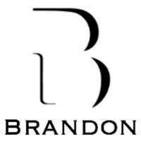 BRANDON VALORISATION logo - Similar company to Brandon Ip