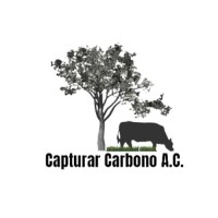 Capturar Carbono A.C. logo - Similar company to Bluemx
